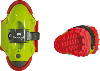 Capteur de vêlage Moocall